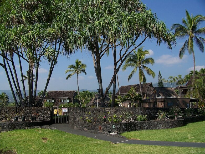 Colony I At Sea Mountain In Pahala