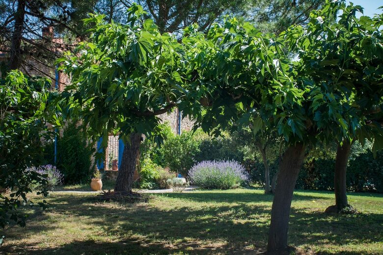 Bed & Breakfast Chambres D'h�tes � Parazard