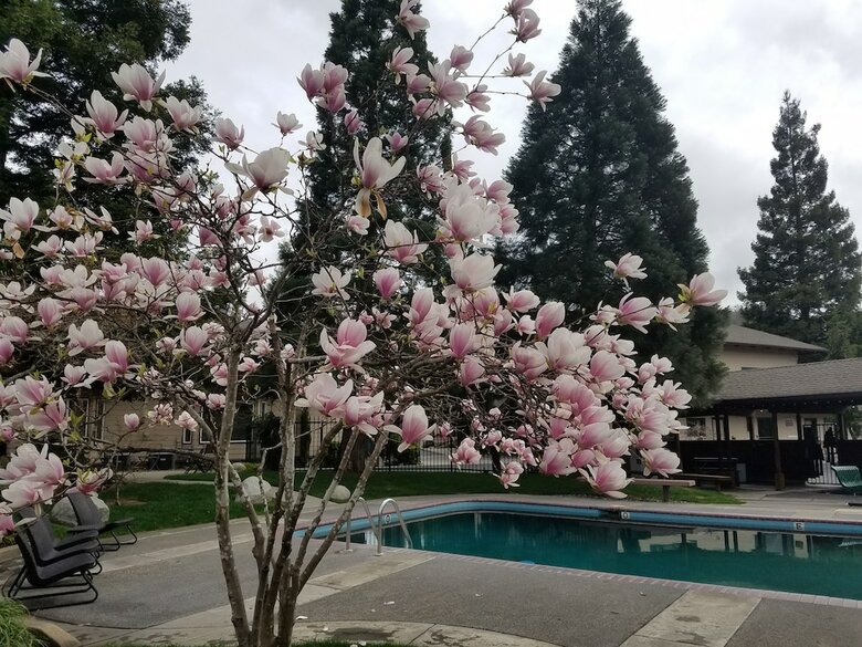 Motel Redwood Hyperion Suites