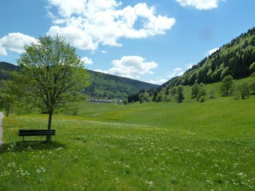 Hotel Garni Silberfelsen