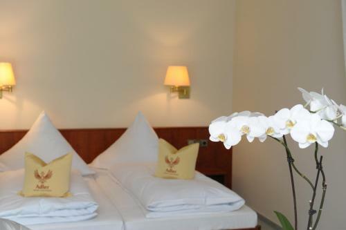 Hostal Hotel Gasthaus Adler