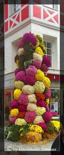 Hostal G�stehaus Zimmer