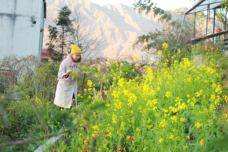 Hotel Sapa Tatu Homestay