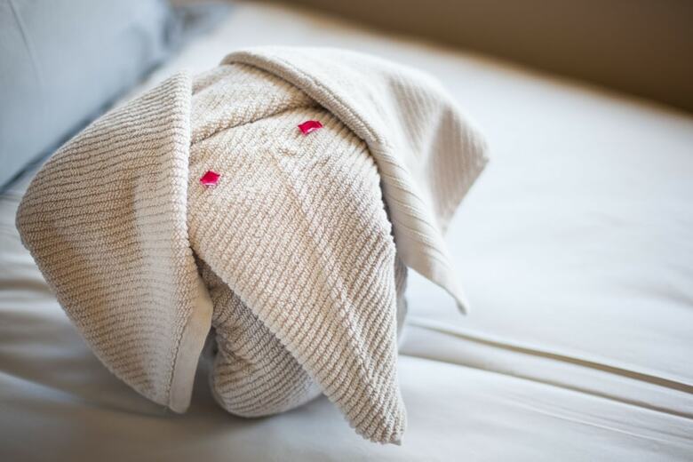 Hotel Twin Thorns Guesthouse