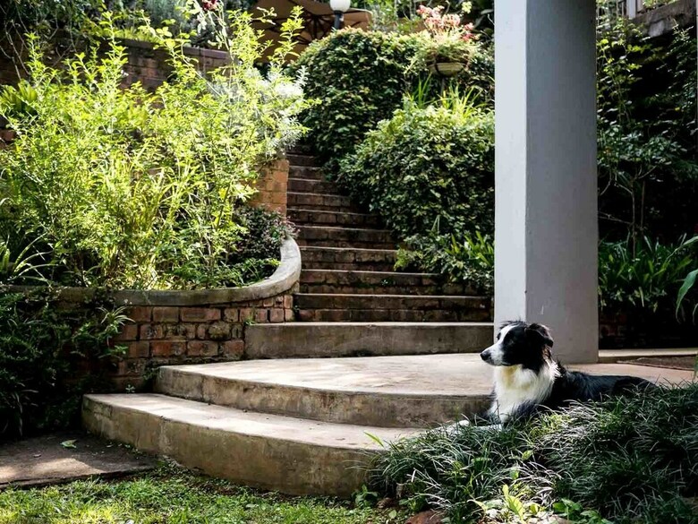 Hotel Africa's Eden Guesthouse