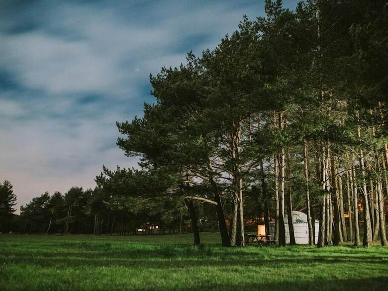 Bed & Breakfast Le Bois Fa�