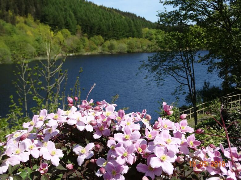 Gwernan Lake Hotel