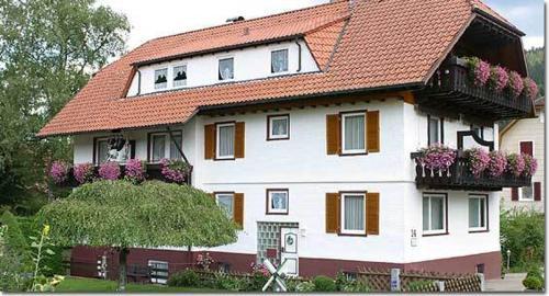 Hostal Schwarzwaldhaus Am Kurpark