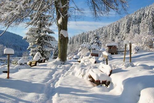 Posada Gasthof Berghof
