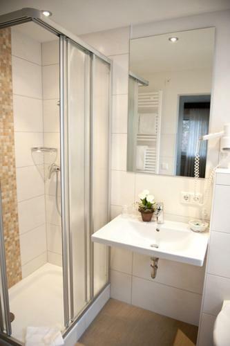 Hostal Gasthof Pfauen