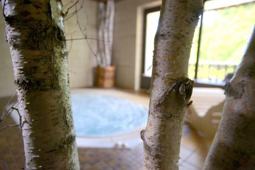 Belvedere - Das Bio Hotel Garni & Suitehotel Am Edersee