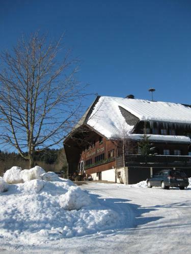 Hostal Schwarzwaldgasthof Hotel Hirschen