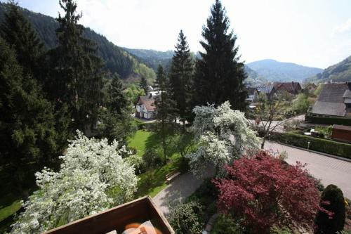 Hostal Hotel-pension Caf� Schacher