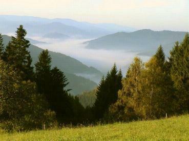 Hostal Hotel-pension Caf� Schacher