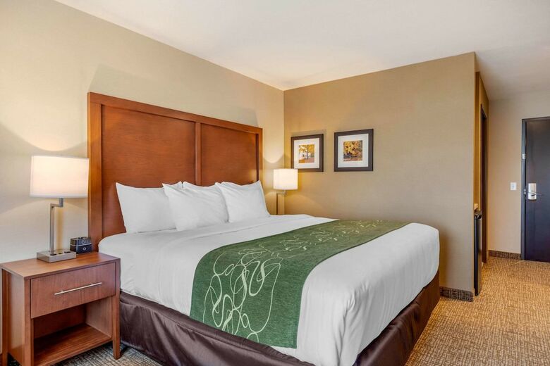 Posada Comfort Inn & Suites Schenectady - Scotia