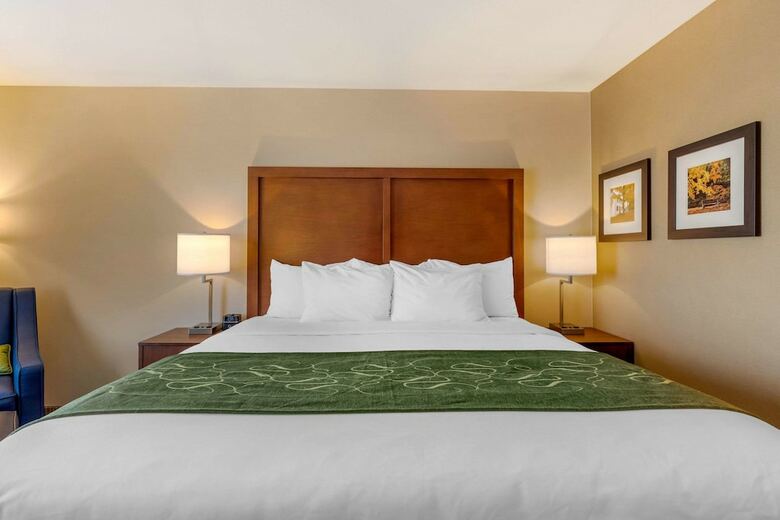 Posada Comfort Inn & Suites Schenectady - Scotia