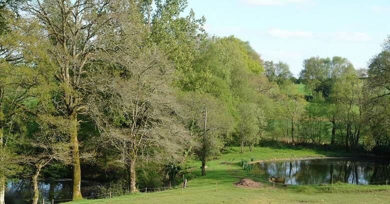 Bed & Breakfast Les Etangs de Piti� Chambres D'h�tes