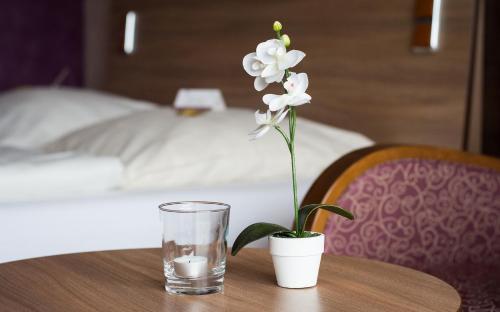 Ringhotel Seehotel Schwanenhof