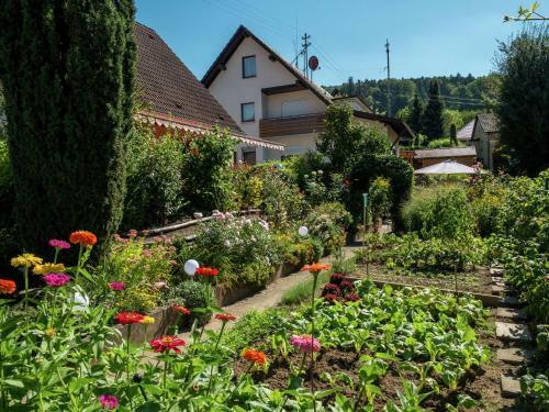 Cozy Apartment Near Forest In Haslach