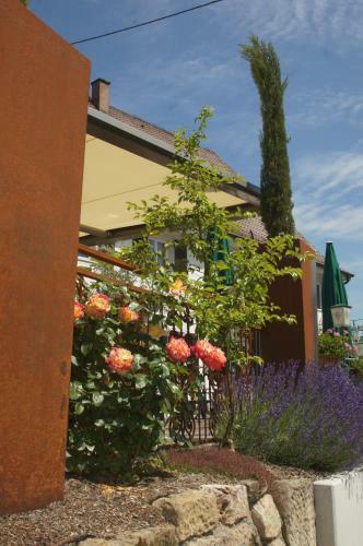 Hotel Gasthof Zum Adler