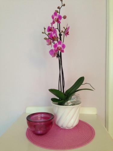 Boutique-hotel Villa Am See