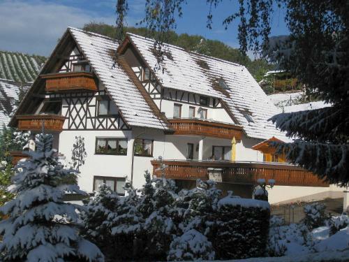 Apartamentos Haus Bachmatt
