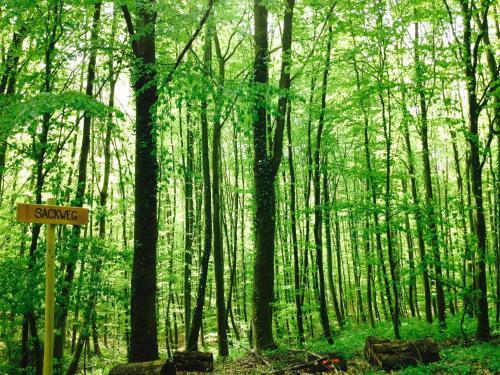 Apartamento Schwarzwald Domizil Uhlsberg