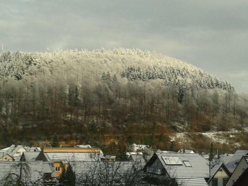 Apartamento Schwarzwald Domizil Uhlsberg