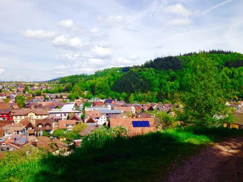 Apartamento Schwarzwald Domizil Uhlsberg