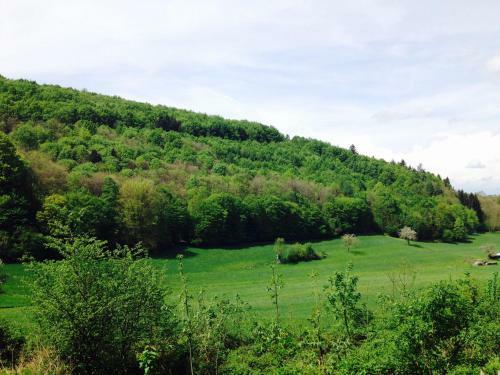 Apartamento Schwarzwald Domizil Uhlsberg