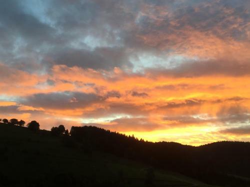 Hostal Gersbacher Hof