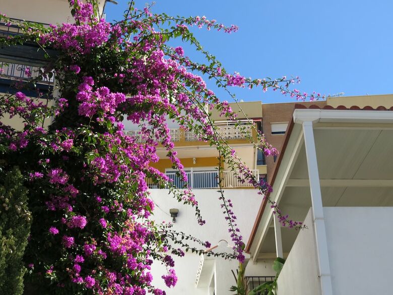 Apartamentos Benirent Villa Sol 13a Penthouse