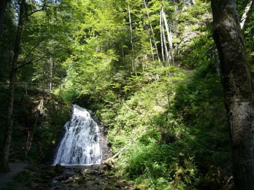 Fichtenhof Am Wasserfall
