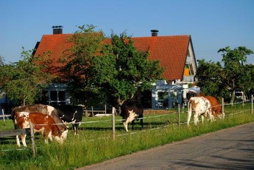Wellnesshotel Schiesselhof