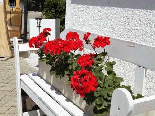 Hotel Pension Gasthaus Zur Schmiede