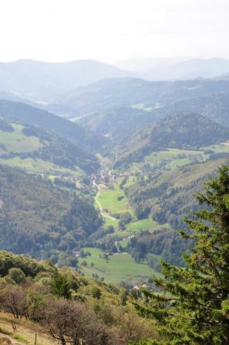 Hotel Pension Gasthaus Zur Schmiede