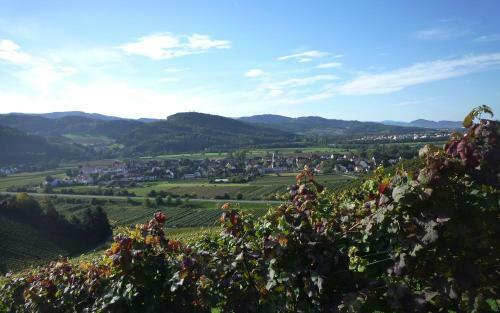 Hotel Landgasthof Loewen