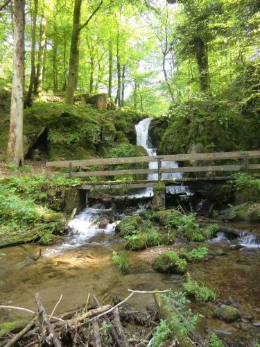 Hostal Waldgasthof Altersbach
