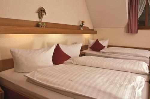 Hostal Landgasthof Adler Pelzm�hle
