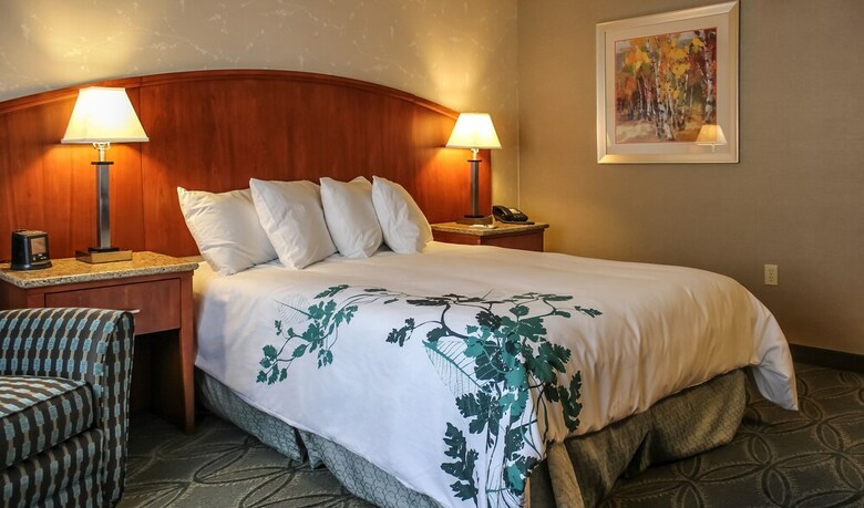 Hotel Wingate By Wyndham Elkins