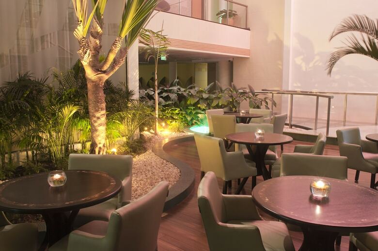 Hotel Holiday Inn Parque Anhembi