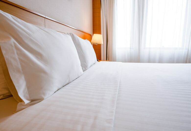 Hotel Holiday Inn Parque Anhembi