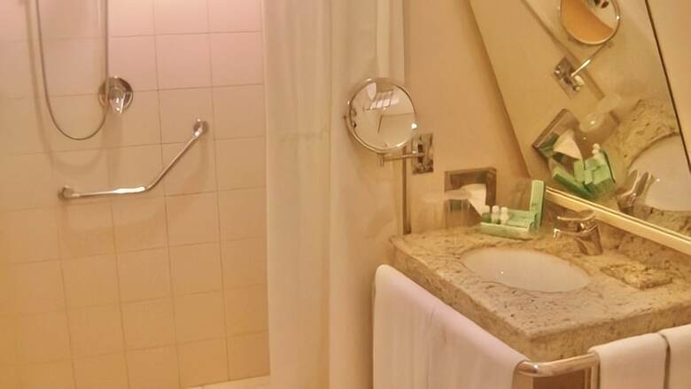 Hotel Holiday Inn Parque Anhembi