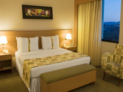 Hotel Holiday Inn Parque Anhembi