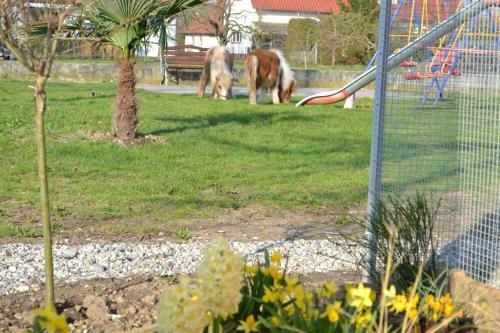 Hotel Werneths Landgasthof Hirschen