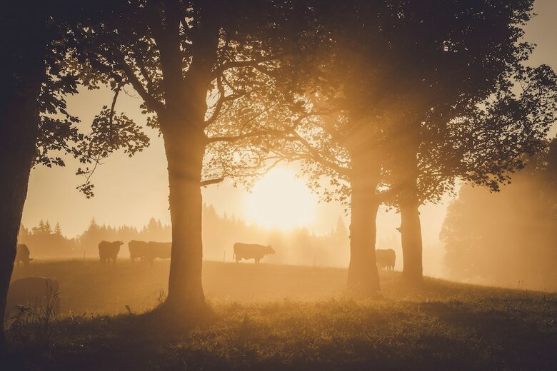 Apartamentos Meine Heimat