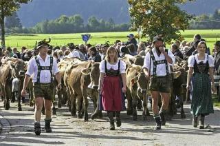 Hostal Hotel Garni Vergissmeinnicht