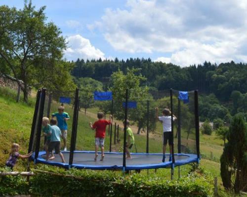 Apartamentos Ferienwohnung Im Herzen Des Renchtals