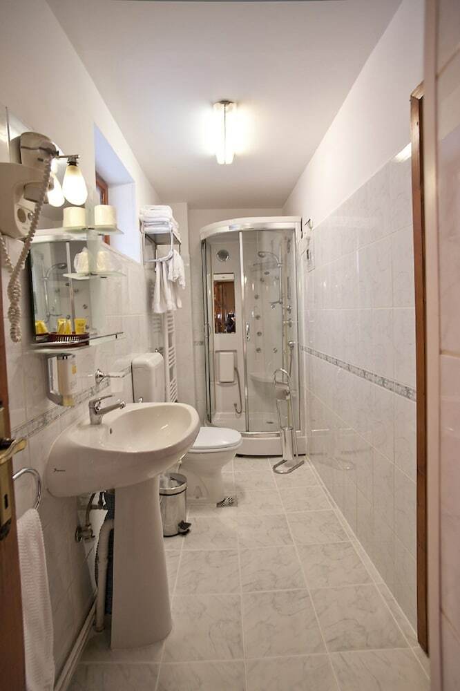 Hotel Vila Camelia Sinaia