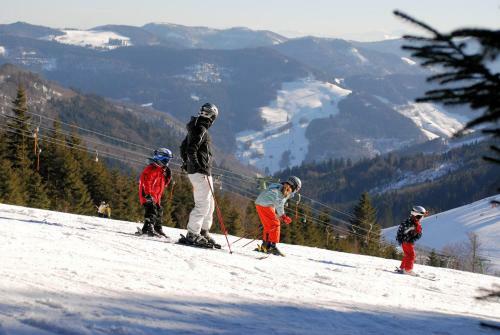 Hostal Vital Hotel Gr�ner Baum